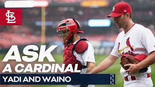 Ask A Cardinal: Yadi and Waino | St. Louis Cardinals