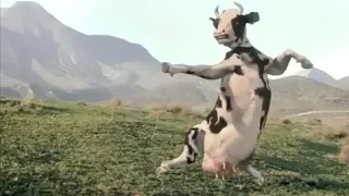 BRUCE LEE VS COW | THE FUNNY VIDEO