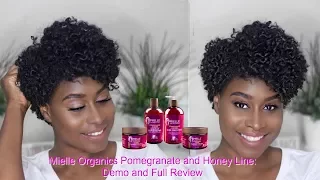 Mielle Organics NEW Pomegranate and Honey Collection: Demo and Review