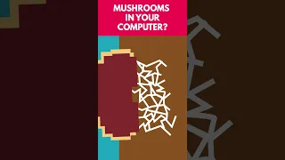 Mushrooms In Your Computer? 🍄