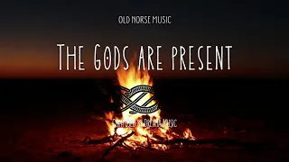 The Gods Are Present - Viking Music