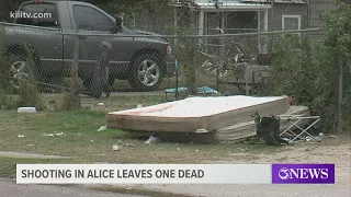 Shooting in Alice leaves one dead, suspect in custody
