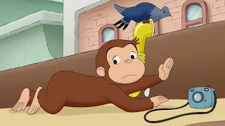 Mono espía | Jorge El Curioso En Español
