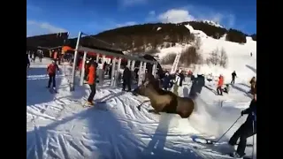 Moose running past surprised skiers in Sweden, Åre