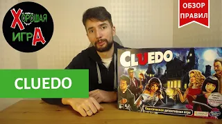 Обзор правил детективной настольной игры Cluedo