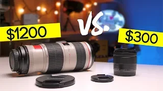 Canon 70-200mm vs Lumix 35-100mm | $1200 vs $300