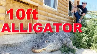 Alligator Pool Pump Is Broken & I Have To Fix It!