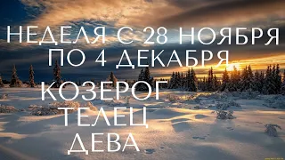 ТАРО ПРОГНОЗ НА НЕДЕЛЮ С 28 ноября по 4 декабря #алиятаро #дева #козерог #телец