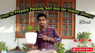 How to Prepare Potting soil mix for Indoor plants? Tamil | Indoor plant planting in Pot | Home made