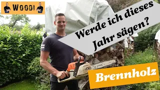 Brennholz sägen - Werde ich dieses Jahr sägen gehen? Woodi