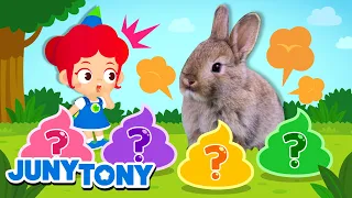 Cocô de Coelho | Cocô dos Animais + Mais Curiosidades | Música Infantil | JunyTony em Português