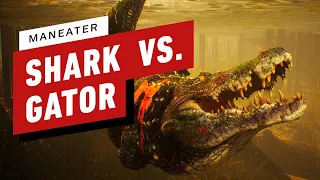 Maneater - Baby Shark vs. Alligator Gameplay