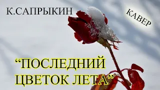 ПОСЛЕДНИЙ ЦВЕТОК ЛЕТА - К.САПРЫКИН (кавер - Е.СУЛИМОВ)