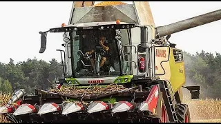 |Kukurydza na ZIARNO |Pierwszy we WSI!!! |OPOROWY Claas Trion 530 |JESIEŃ 2023 |