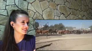 🐴какие же они прекрасные ❤Гулянка лошадей в Казахстане /реакция