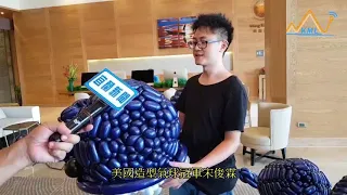 【葛瑪蘭新聞網】20180730國際造型氣球大賽作品 台灣藍鯨游進村却國際溫泉酒店