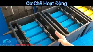 Thùng lọc 3 ngăn CBF cho hồ Koi