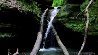 Starved Rock: Kaskaskia Canyon 4K