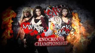 TNA Hardcore Justice 2011-Mickie James vs Winter HQ