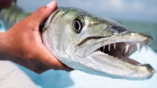 10 SCARY Fishing Videos Caught On Camera by 1st★EMPEROR😀