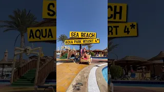 ✈️ Летим в Египет 🏝️ Sea Beach Aqua Park Resort 4* Обзор отеля в Шарм-Эль-Шейх #travelvlog #shorts