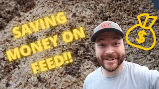 You can FEED Your Animals for FREE!! (using spent grain)