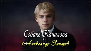 Собаке Качалова - Сергей Есенин (читает Александр Злищев)