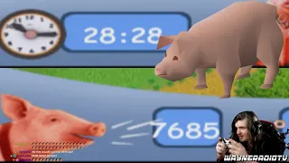 Wayneradiotv Breaks The Oink Barrier