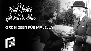 Orchideen für Majella | Graf Yoster gibt sich die Ehre - Staffel 1, Folge 10