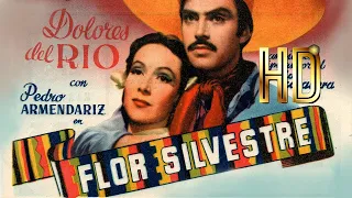 Flor Silvestre  1943) Pelicula Mexicana En HD, Dolores del Rio, Pedro Armendáriz, Emilio Fernández.