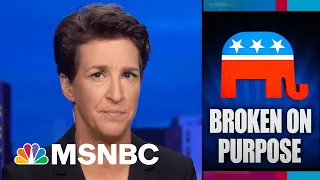 Watch Rachel Maddow Highlights: August 20th | MSNBC