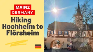 Hiking Mainz Germany | Hochheim to Flörsheim | Main River