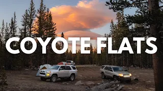 We Take The Toyotas up to Coyote Flats & Funnel Lake