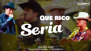 Que Rico Seria - Conjunto Rienda Real & T3r Elemento (Video Lyric)