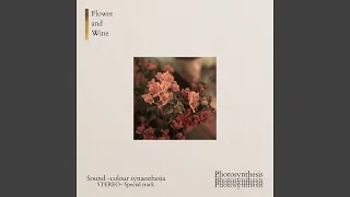 Flower and Wine (Photosynthesis Version)