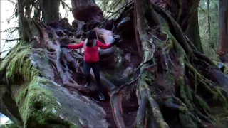 3 minute video climbing Mt. Whitney