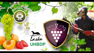 Класифікація сучасних засобів захисту плодових культур та винограду від шкідників та хвороб