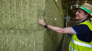 Alfalfa dehydration with POTTINGER