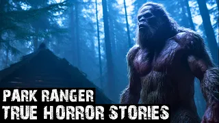 13 TRUE EXTREMELY INSANE SCARY PARK RANGER HORROR STORIES (DOGMAN,SASQUATCH,WENDIGO,DEEP WOODS)