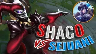 How to DESTROY Sejuani - Full Shaco Tutorial