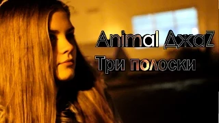 Animal Джаz - три полоски (Acoustic cover) | LIFEwithMUSIC