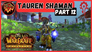 Lets Play World of Warcraft Cataclysm In 2024 - Part 12 - Tauren Shaman - Horde - Chill Gameplay