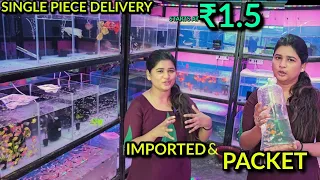 1₹ முதல் Imported &  packet fish collections | Kolathur Fish Market