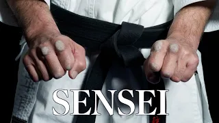 Sensei: Masters of Okinawan Karate - Highlights - SERIES TWO in 2022