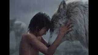 How The Abandoned Children Raised Among Wild Animals Ended Will Shock You..