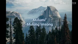 Ao Song - Molumi | Molung Imsong (Lyrics Video)