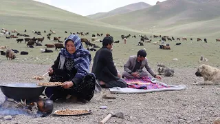 Shepherd Mother Collecting Natural Mushrooms and Cooking in the Nature |Village life in Afghanistan