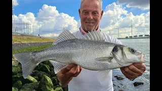 Zicht op zeebaars : Moeilijke tijden...