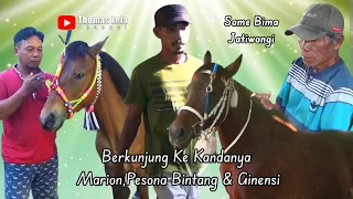 Berkunjung Ke Kandangnya Ginensis, Marion & Pesona Bintang Jatiwangi.