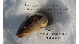 ВЕСЕННЯЯ УДАЧНАЯ РЫБАЛКА / SPRING FISHING